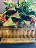 Floral Arrangement