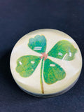 John Derian Paperweight