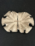Miscellaneous Women's Silver Belt Buckle