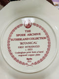 Spode Plate