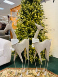 Holiday - Christmas