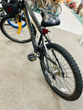 Schwinn Bicycle