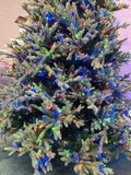 Holiday - Christmas