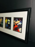 Bill Brauer Framed Art