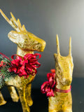 Holiday - Christmas