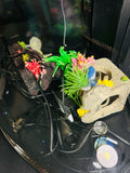 Topfin Aquarium