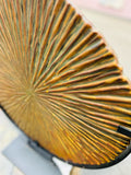 Pier 1 Imports Decorative Platter