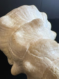 Natural Sciences