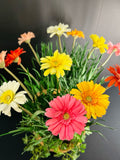 Floral Arrangement