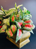 Floral Arrangement