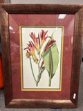 Framed Art