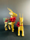 Holiday - Christmas