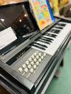 Estey Musical Instrument