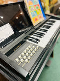 Estey Musical Instrument