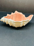 Fitz And Floyd Dish