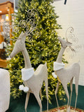 Holiday - Christmas