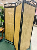 Screen