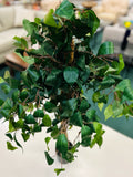 Artificial Plant/Arrangement
