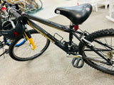 Schwinn Bicycle