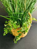 Floral Arrangement