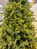 Holiday - Christmas