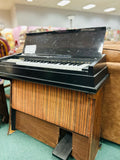 Estey Musical Instrument