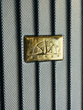 Verdi Unisex Navy Wheeled luggage