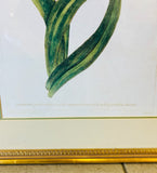 Print