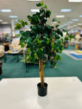 Artificial Plant/Arrangement