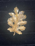 Brooch