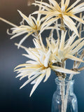 Floral Arrangement