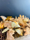 Fall Decor