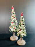 Burton + Burton Holiday - Christmas