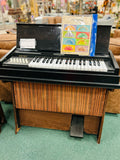 Estey Musical Instrument