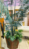 Silk Plant