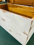Trunk
