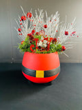 Holiday - Christmas