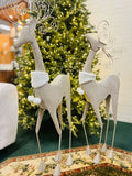 Holiday - Christmas