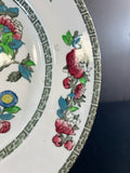 Johnson Bros Plate