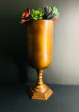Succulent