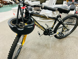 Schwinn Bicycle