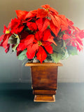 Holiday - Christmas
