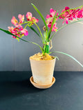 Floral Arrangement